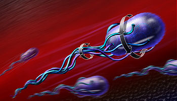 Illustration for article titled Where Are My Medical Nanobots?